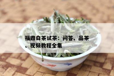 福鼎白茶试茶：问答、品茶、视频教程全集