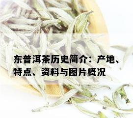 东普洱茶历史简介：产地、特点、资料与图片概况