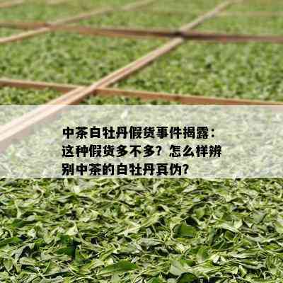 中茶白牡丹假货事件揭露：这种假货多不多？怎么样辨别中茶的白牡丹真伪？