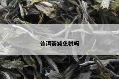 普洱茶减免税吗