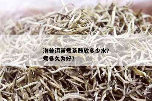 泡普洱茶煮茶器放多少水？煮多久为好？