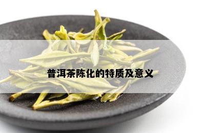 普洱茶陈化的特质及意义