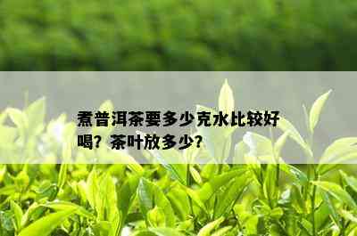 煮普洱茶要多少克水比较好喝？茶叶放多少？