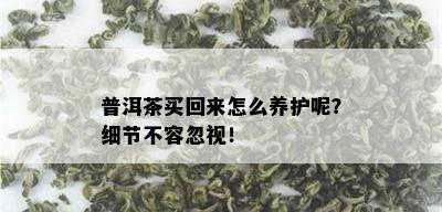 普洱茶买回来怎么养护呢？细节不容忽视！