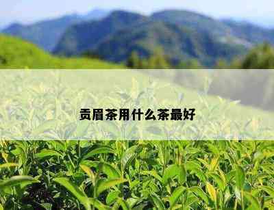 贡眉茶用什么茶更好