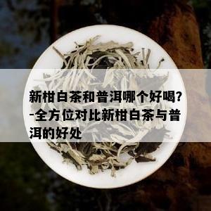 新柑白茶和普洱哪个好喝？-全方位对比新柑白茶与普洱的好处