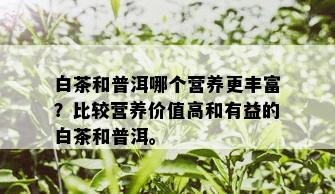 白茶和普洱哪个营养更丰富？比较营养价值高和有益的白茶和普洱。