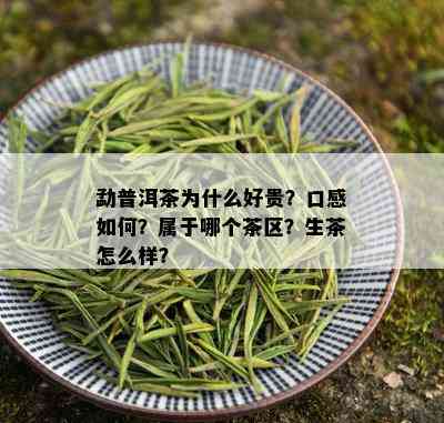 勐普洱茶为什么好贵？口感如何？属于哪个茶区？生茶怎么样？