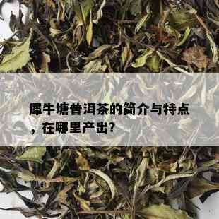 犀牛塘普洱茶的简介与特点，在哪里产出？