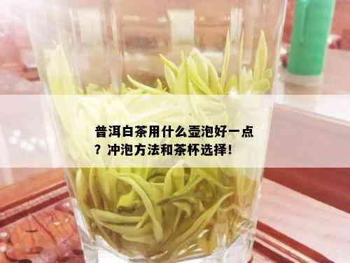 普洱白茶用什么壶泡好一点？冲泡方法和茶杯选择！