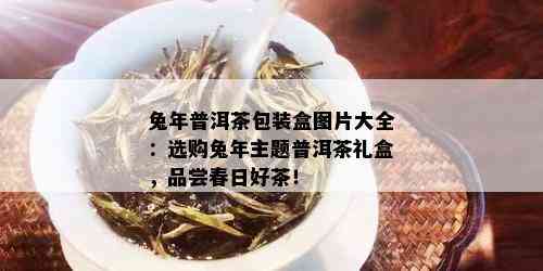 兔年普洱茶包装盒图片大全：选购兔年主题普洱茶礼盒，品尝春日好茶！