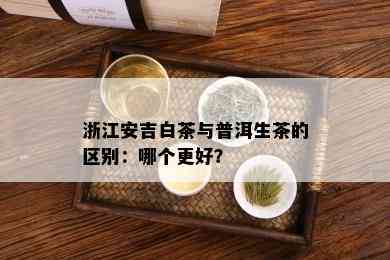 浙江安吉白茶与普洱生茶的区别：哪个更好？