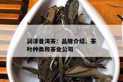 润泽普洱茶：品牌介绍、茶叶种类和茶业公司