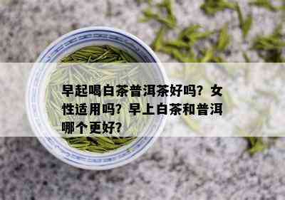 早起喝白茶普洱茶好吗？女性适用吗？早上白茶和普洱哪个更好？