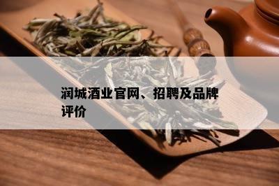 润城业官网、招聘及品牌评价