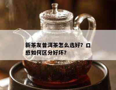 新茶友普洱茶怎么选好？口感如何区分好坏？