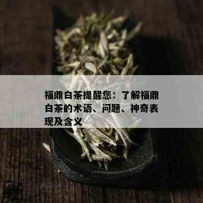 福鼎白茶提醒您：了解福鼎白茶的术语、问题、神奇表现及含义