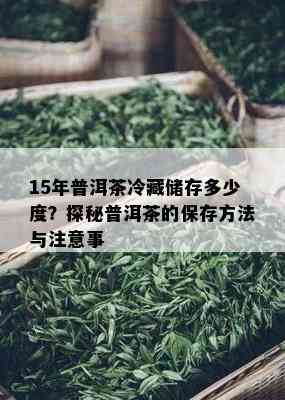 15年普洱茶冷藏储存多少度？探秘普洱茶的保存方法与注意事