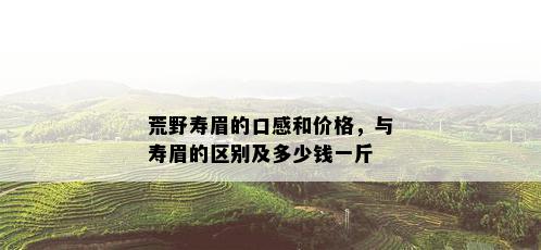 荒野寿眉的口感和价格，与寿眉的区别及多少钱一斤