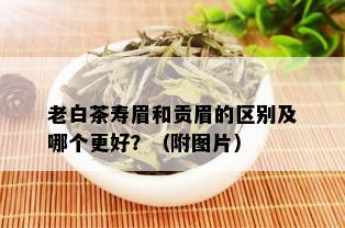 老白茶寿眉和贡眉的区别及哪个更好？（附图片）