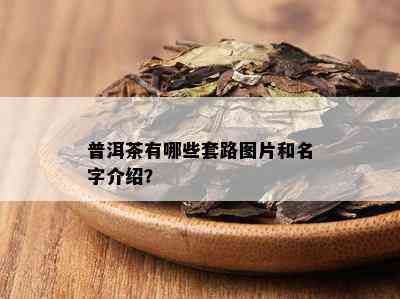 普洱茶有哪些套路图片和名字介绍？