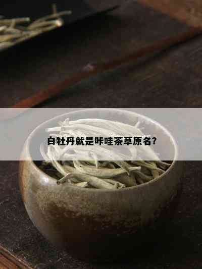 白牡丹就是咔哇茶草原名？