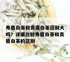 寿眉白茶和贡眉白茶区别大吗？详细比较寿眉白茶和贡眉白茶的区别