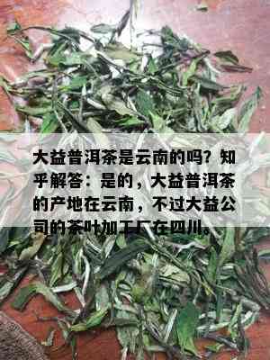 大益普洱茶是云南的吗？知乎解答：是的，大益普洱茶的产地在云南，不过大益公司的茶叶加工厂在四川。