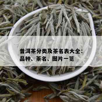 普洱茶分类及茶名表大全：品种、茶名、图片一览