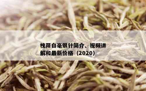 槐荫白毫银针简介、视频讲解和最新价格（2020）