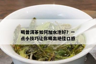 喝普洱茶如何加水泡好？一点小技巧让你喝出绝佳口感