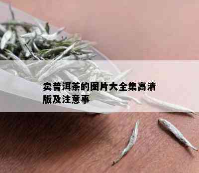 卖普洱茶的图片大全集高清版及注意事