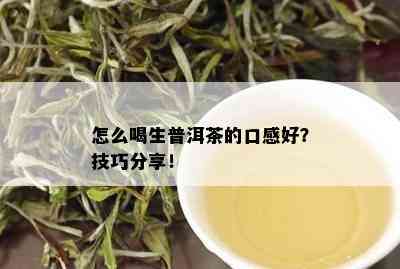 怎么喝生普洱茶的口感好？技巧分享！