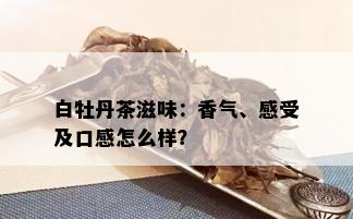 白牡丹茶滋味：香气、感受及口感怎么样？