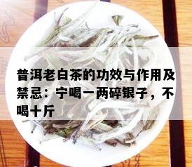 普洱老白茶的功效与作用及禁忌：宁喝一两碎银子，不喝十斤