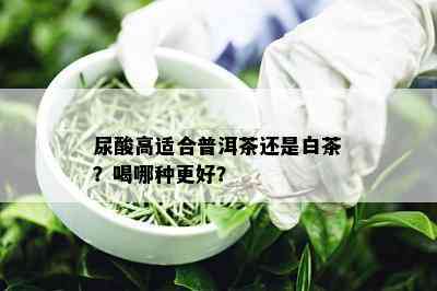 尿酸高适合普洱茶还是白茶？喝哪种更好？