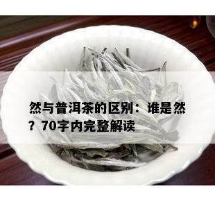 然与普洱茶的区别：谁是然？70字内完整解读