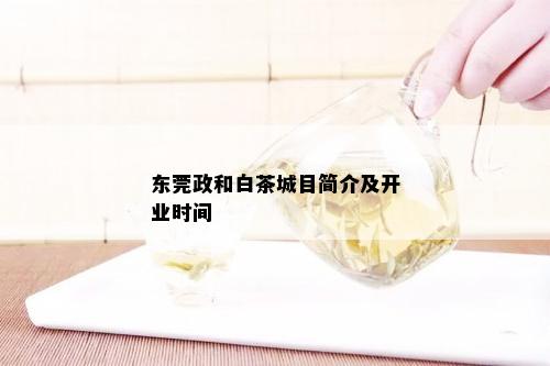 东莞政和白茶城目简介及开业时间