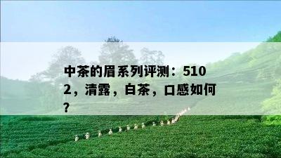 中茶的眉系列评测：5102，清露，白茶，口感如何？