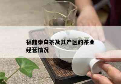 福鼎泰白茶及其产区的茶业经营情况