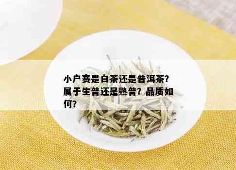 小户赛是白茶还是普洱茶？属于生普还是熟普？品质如何？