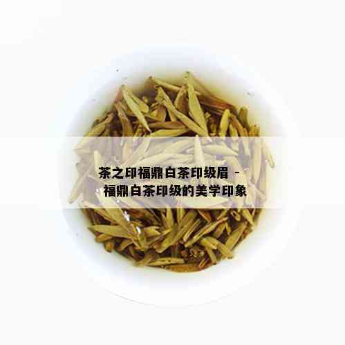 茶之印福鼎白茶印级眉 - 福鼎白茶印级的美学印象