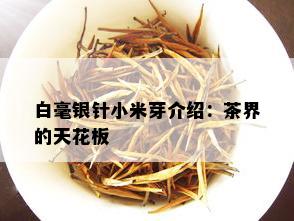 白毫银针小米芽介绍：茶界的天花板