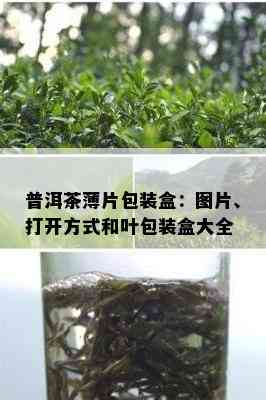 普洱茶薄片包装盒：图片、打开方式和叶包装盒大全