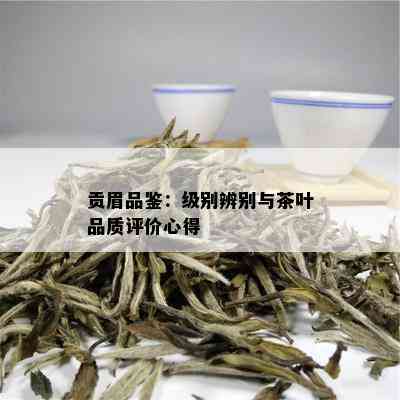 贡眉品鉴：级别辨别与茶叶品质评价心得