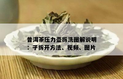 普洱茶压力壶拆洗图解说明：子拆开方法、视频、图片