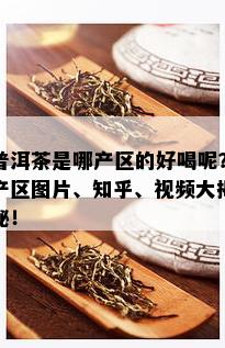 普洱茶是哪产区的好喝呢？产区图片、知乎、视频大揭秘！