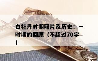 白牡丹时期照片及历史：一时期的回顾（不超过70字）