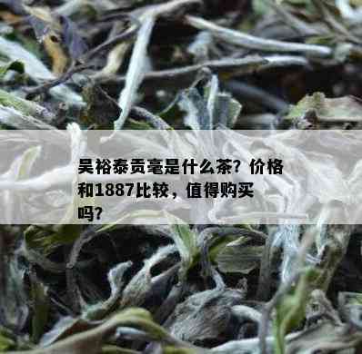 吴裕泰贡毫是什么茶？价格和1887比较，值得购买吗？