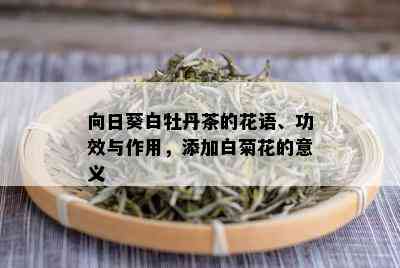 向日葵白牡丹茶的花语、功效与作用，添加白菊花的意义